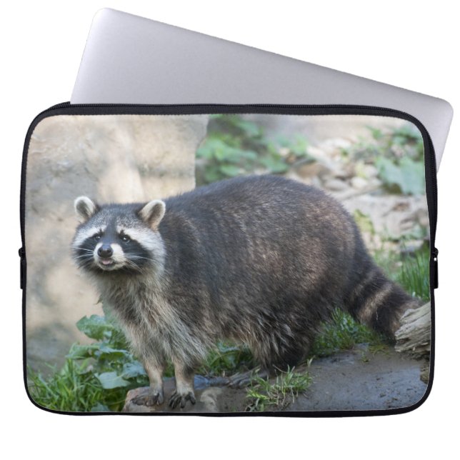 Racoon Laptop Sleeve (Front)
