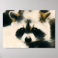 Racoon Lover