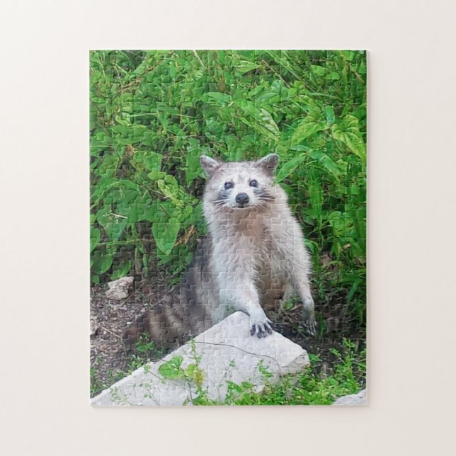 Racoon Lovers Wildlife Jigsaw Puzzle (Vertical)