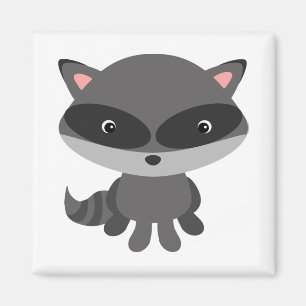 Racoon Magnet