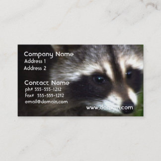 Racoon Mask Business Cards