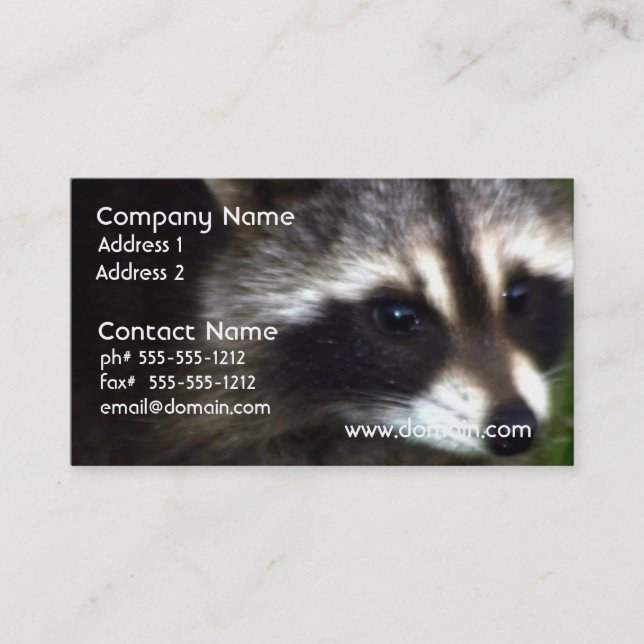 Racoon Mask Business Cards (Front)