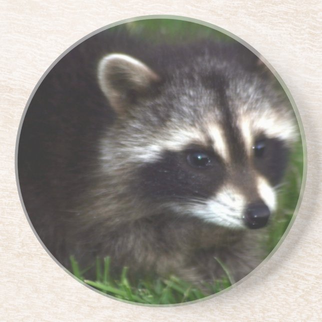 Racoon Mask  Coaster (Front)