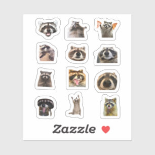 Racoon Meme Funny Sticker Set Bundle