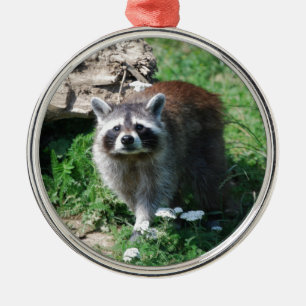 Racoon Metal Tree Decoration