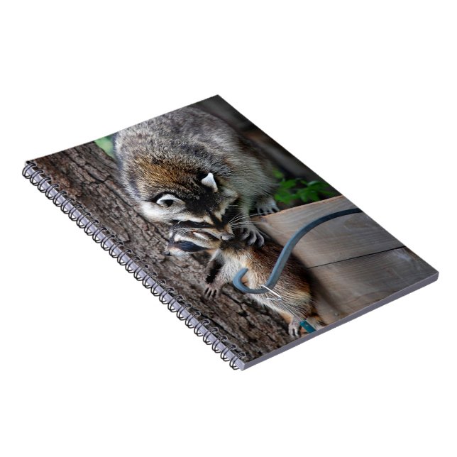 Racoon Mother and Kit 3 Spiral Notebook (Right Side)