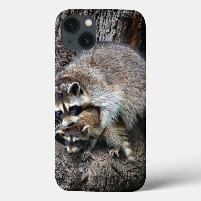 Racoon Mother and Kit Case-Mate iPhone Case (Back)