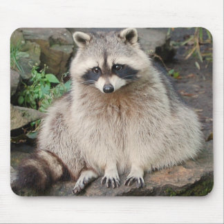 Racoon Mouse Pad
