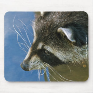 Racoon Mouse Pad