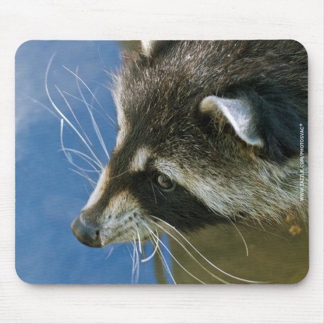 Racoon Mouse Pad (Front)