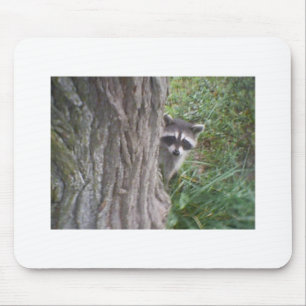 Racoon Mouse Pad