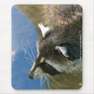 Racoon Mouse Pad