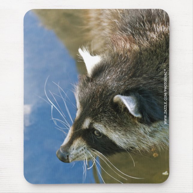 Racoon Mouse Pad (Front)