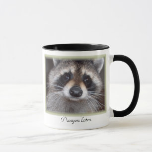 Racoon mug - Procyon lotor