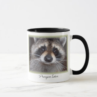 Racoon mug - Procyon lotor