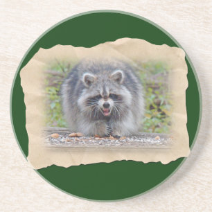 Racoon - My bird seed! Coaster