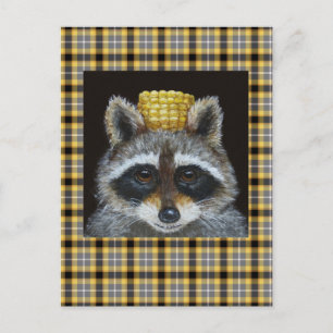 Racoon on plaid postcard
