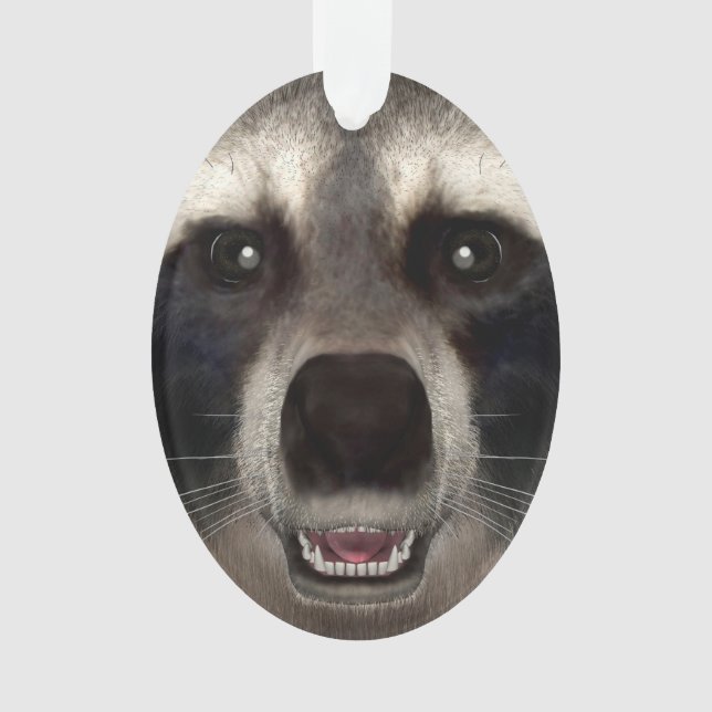 Racoon Ornament (Front)