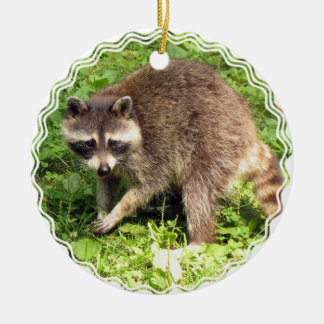 Racoon Ornament
