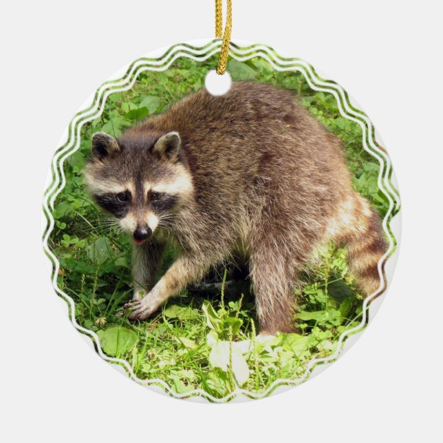 Racoon Ornament (Front)