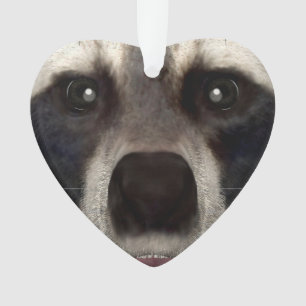 Racoon Ornament