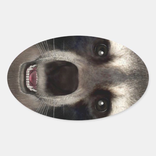 Racoon Oval Sticker (Front)