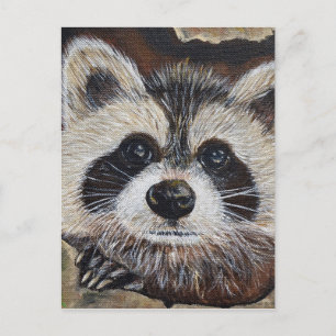 Racoon Painting Postcard