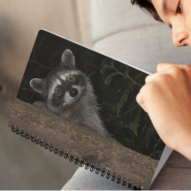 Racoon Peeking from Behind Tree Nature Photo Notebook (In Situ)