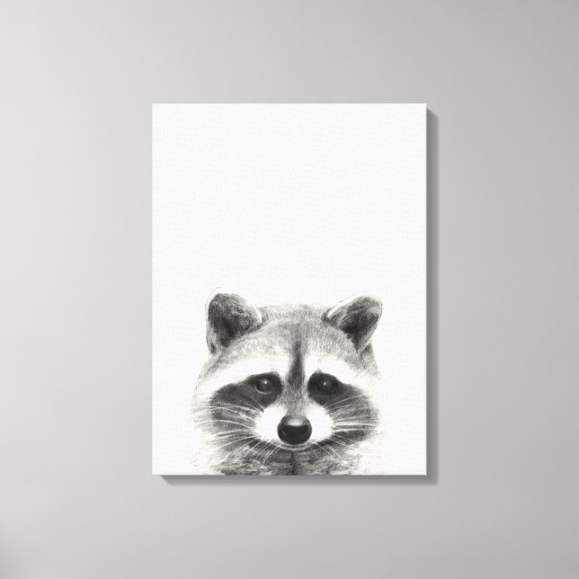 Racoon Pencil Drawing Canvas Print (Front)
