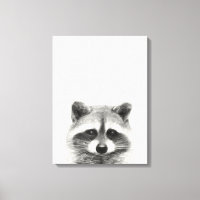 Racoon Pencil Drawing