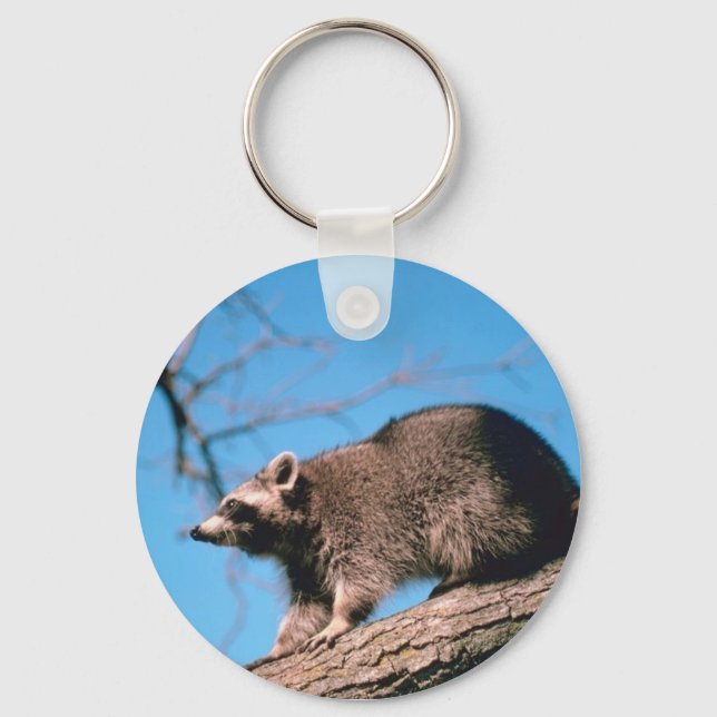 Racoon Perched Key Ring (Front)