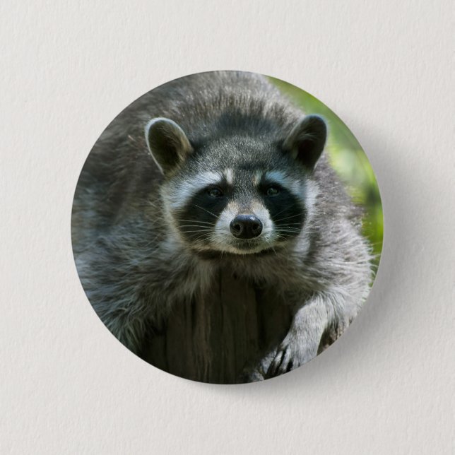 Racoon Pin (Front)