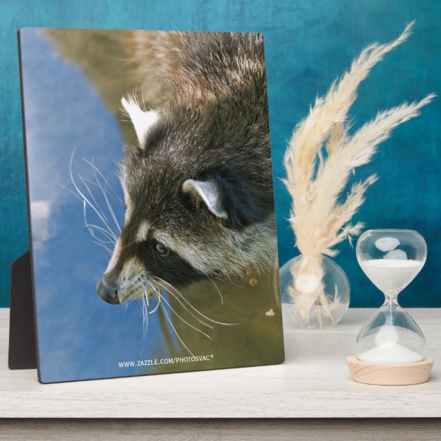 Racoon Plaque (Side)