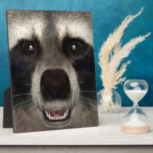 Racoon Plaque