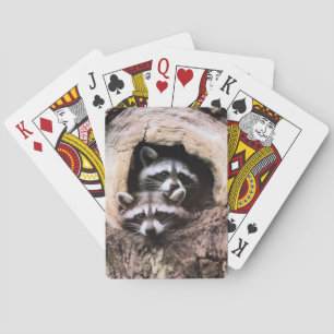 Racoon Playing Cards