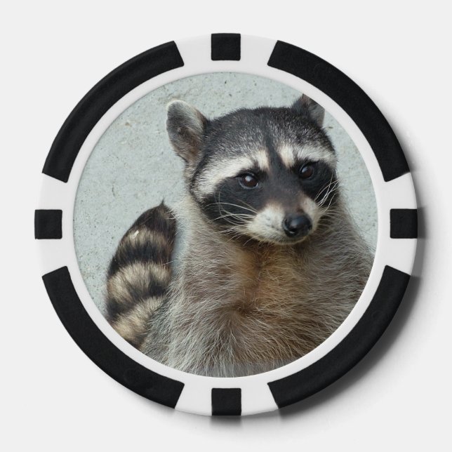 Racoon Poker Chips (Front)