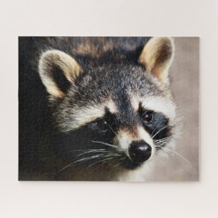 Racoon Portrait, Jigsaw Puzzle