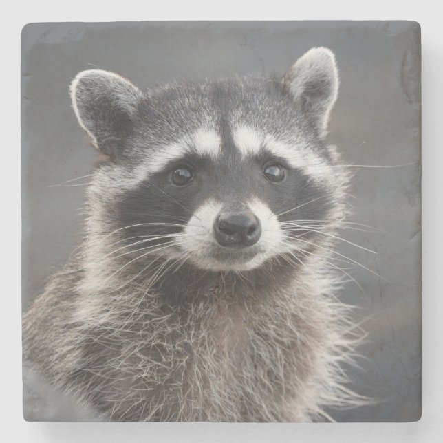 Racoon Portrait Stone Coaster (Front)