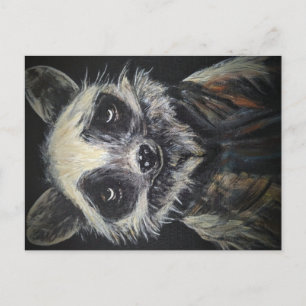 Racoon Postcard