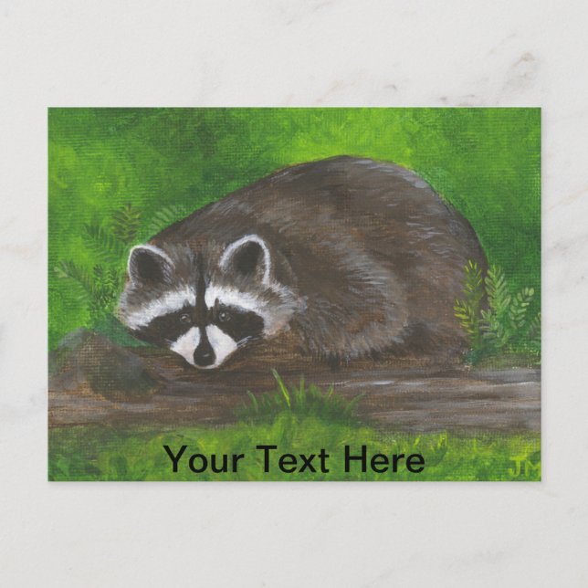 Racoon Postcard (Front)