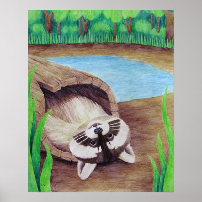 Racoon Poster (Front)