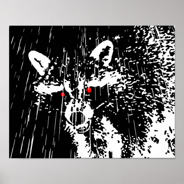 Racoon Poster (Front)