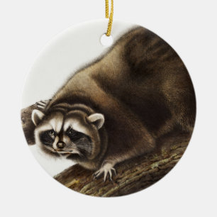 Racoon (Procyon lotor) Illustration Ceramic Tree Decoration