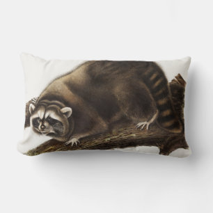 Racoon (Procyon lotor) Illustration Lumbar Cushion