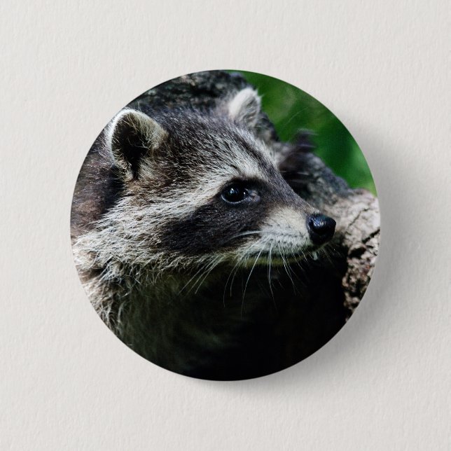 Racoon Profile 6 Cm Round Badge (Front)