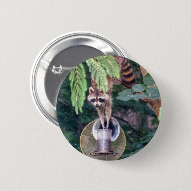 Racoon Raiding the Bird Feeder 6 Cm Round Badge (Front & Back)
