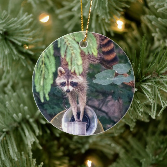 Racoon Raiding the Bird Feeder Ceramic Tree Decoration (Tree)