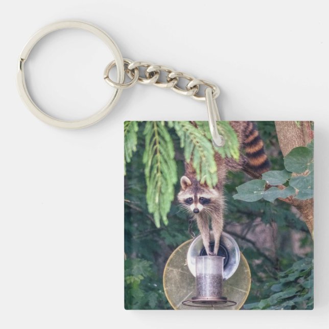 Racoon Raiding the Bird Feeder Key Ring (Front)