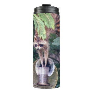 Racoon Raiding the Bird Feeder Thermal Tumbler