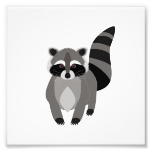 Racoon Rascal Photo Print